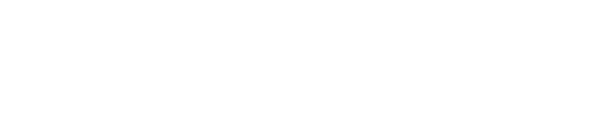 Licht & Linie Interior Design